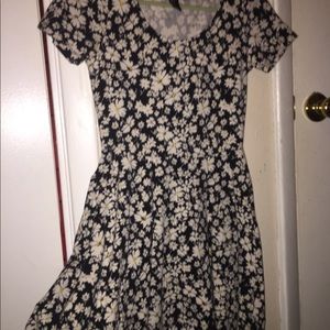 Daisy Skater Dress